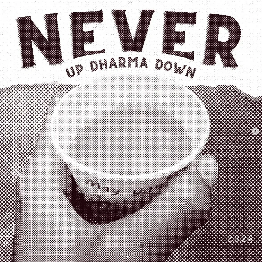 Never - Up Dharma Down